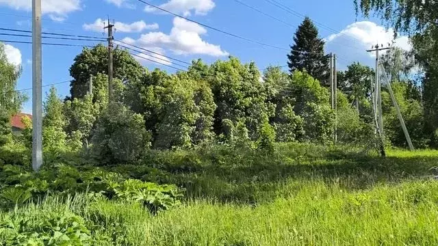Участок 15 сот. (ИЖС) - Фото 1