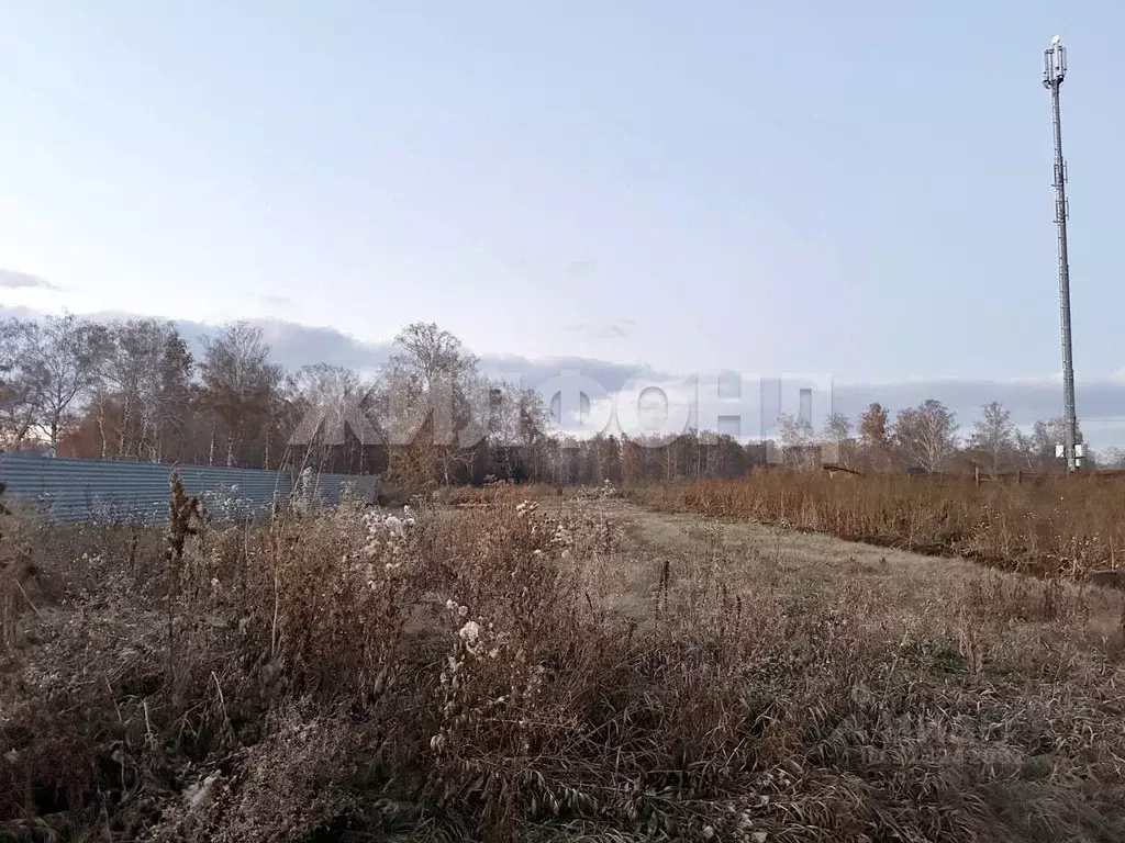 Участок в Новосибирская область, Новосибирский район, Боровской ... - Фото 1