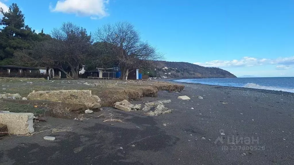 Участок в Крым, Алушта муниципальный округ, с. Приветное ул. Горького, ... - Фото 1