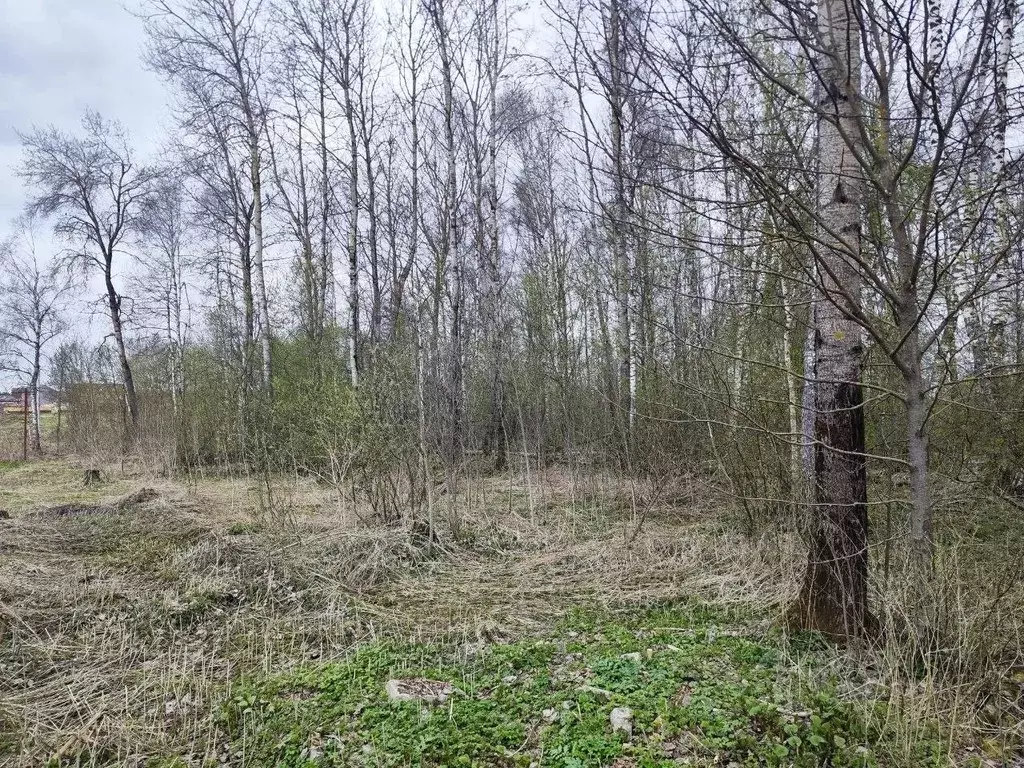 Участок в Московская область, Солнечногорск городской округ, д. ... - Фото 1