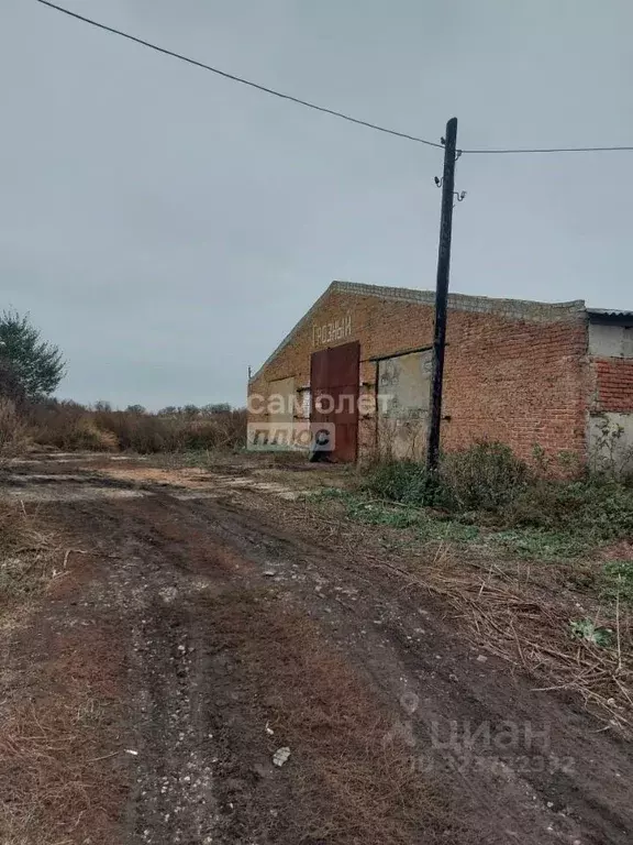 Склад в Курская область, Щигровский район, Касиновский сельсовет, д. ... - Фото 1