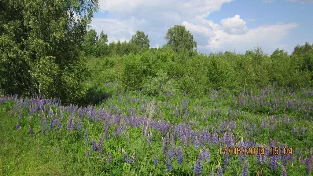Участок в Нижегородская область, Богородский муниципальный округ, д. ... - Фото 1