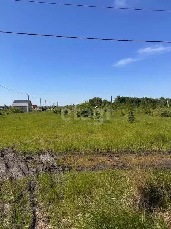 Участок в Курганская область, Шадринск ул. Клеванцова (10.0 сот.) - Фото 1