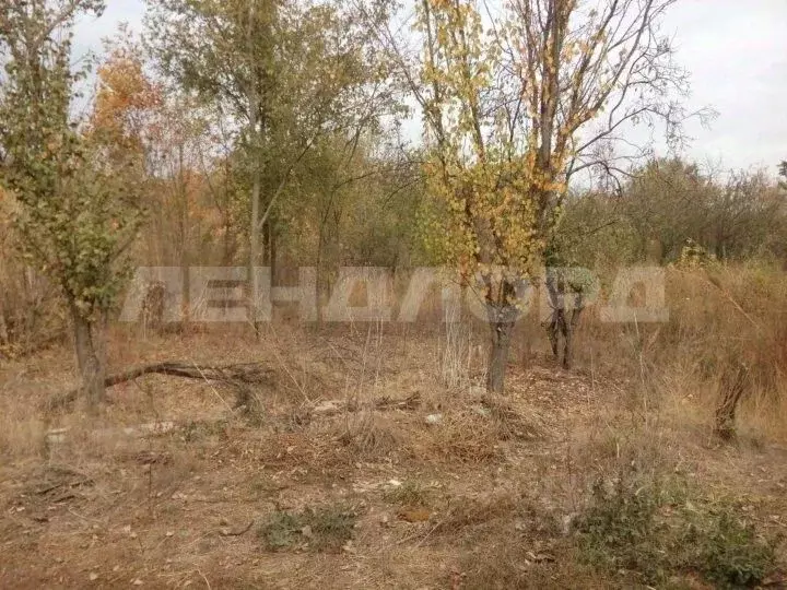 Участок в Ростовская область, Октябрьский район, пос. Персиановский, ... - Фото 2