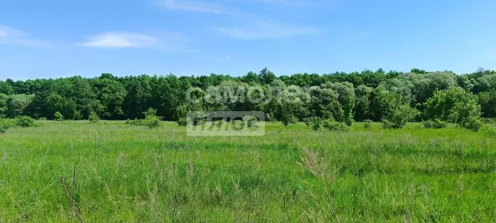 Участок в Курская область, Курский район, Моковский сельсовет, д. ... - Фото 1