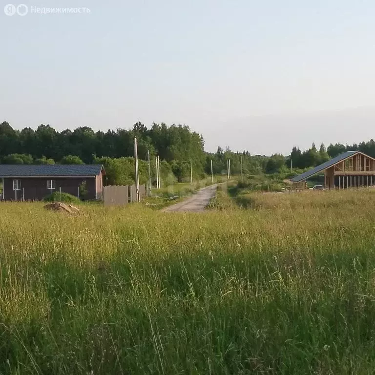 Участок в Ярославская область, Тутаевский муниципальный округ, ... - Фото 0