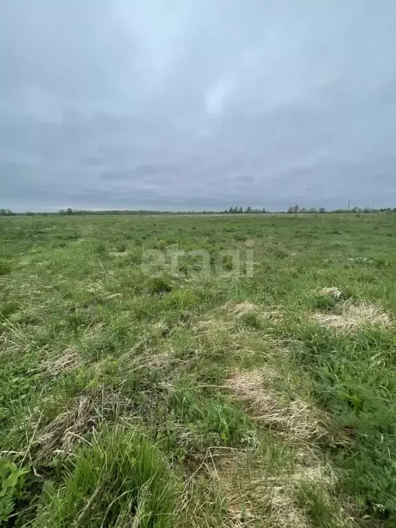 Участок в Коми, Сыктывдинский район, с. Выльгорт, Клен садоводческое ... - Фото 1