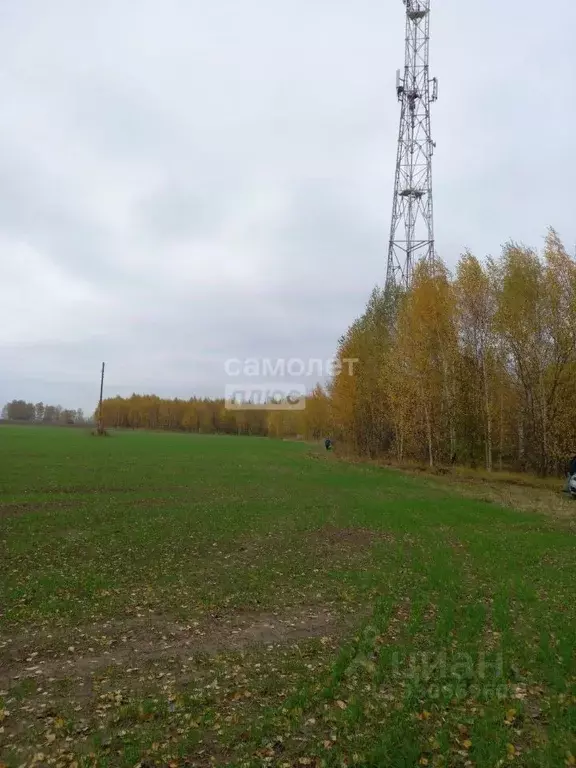 Участок в Нижегородская область, Чкаловск муниципальный округ, с. ... - Фото 1