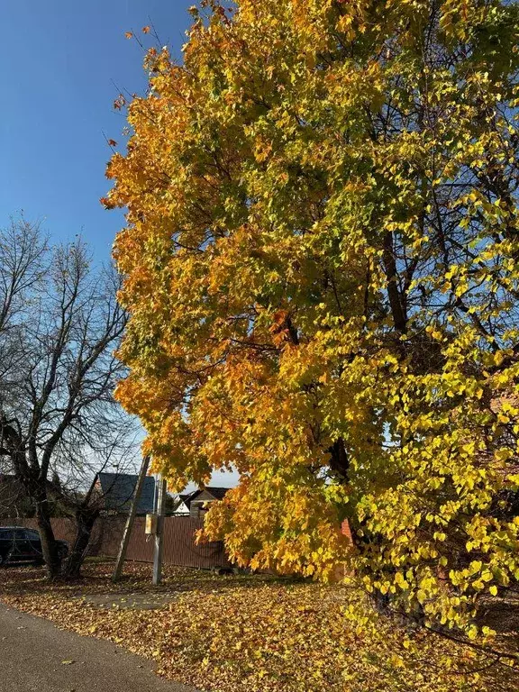 Участок, 10.6 сот., поселения (ижс) - Фото 1