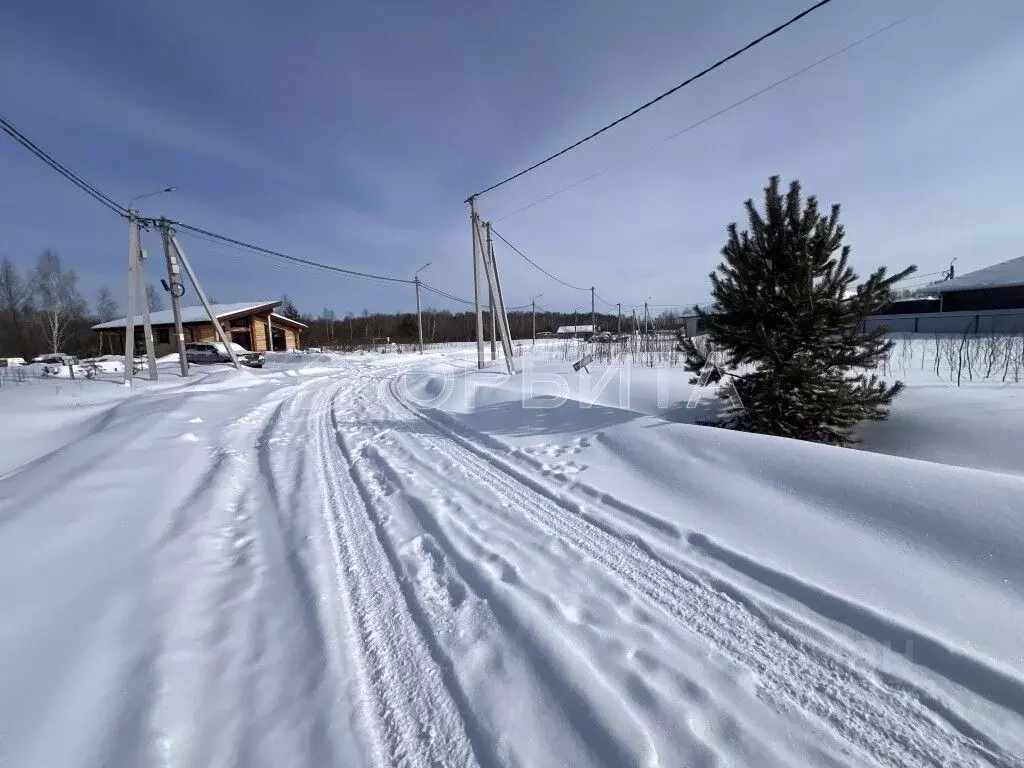 Участок в Тюменская область, Тюменский муниципальный округ Салаирский ... - Фото 1