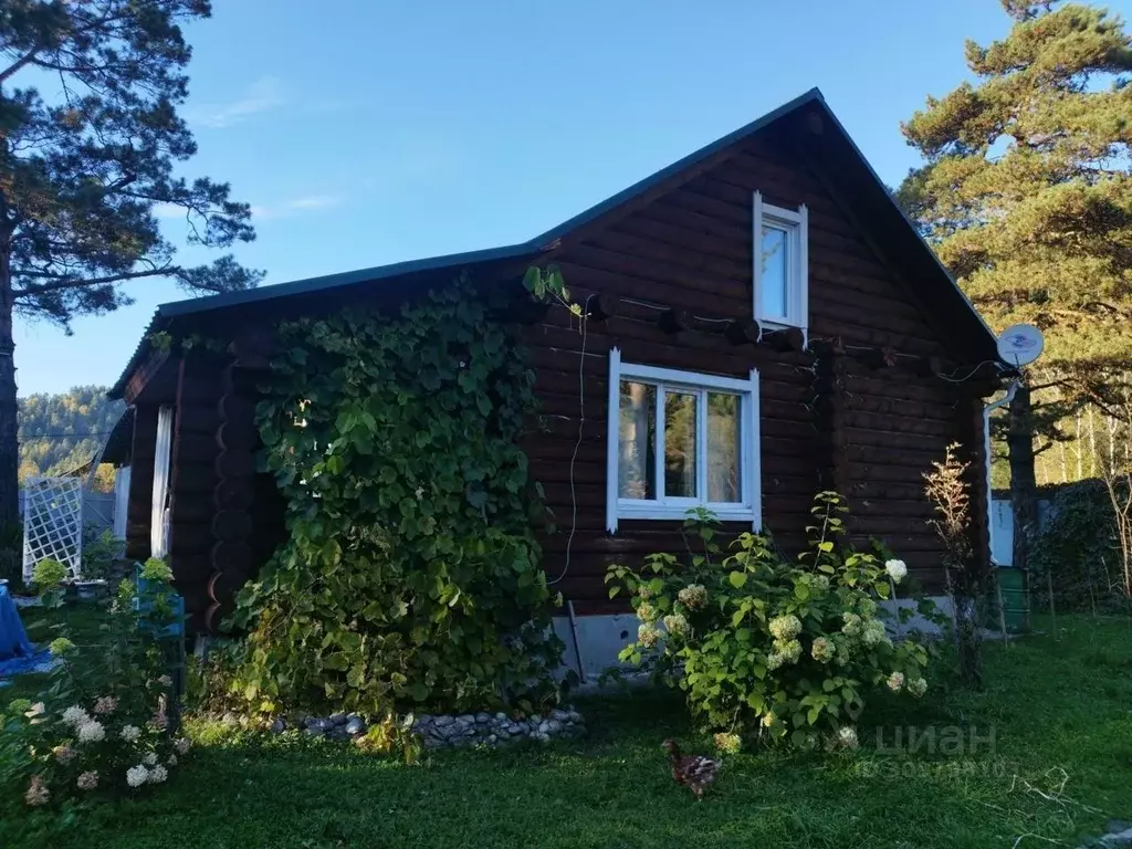 Дом в Алтай, Турочакский район, с. Кебезень ул. Береговая (90 м) - Фото 1