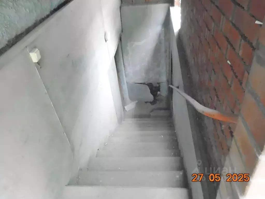 Помещение свободного назначения в Новосибирская область, Новосибирск ... - Фото 2