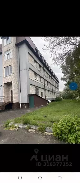 Студия Алтайский край, Барнаул ул. Весенняя, 16А (17.7 м) - Фото 0