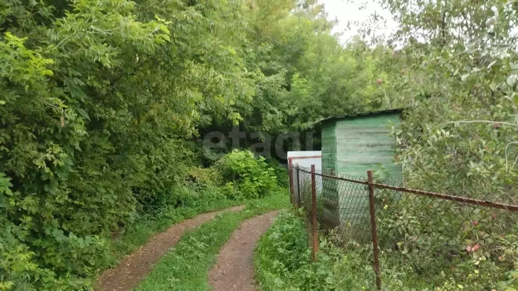 Дом в Оренбургская область, Оренбургский район, Степановский ... - Фото 1