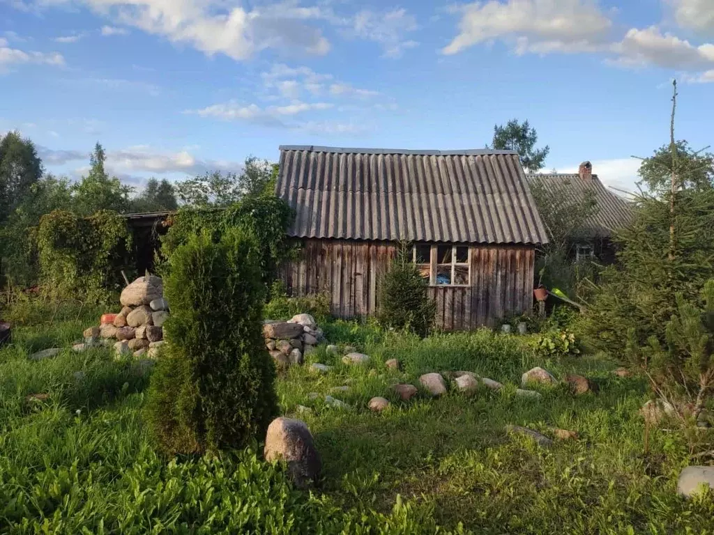 Дом в Новгородская область, Маревский муниципальный округ, д. Ям ул. ... - Фото 2