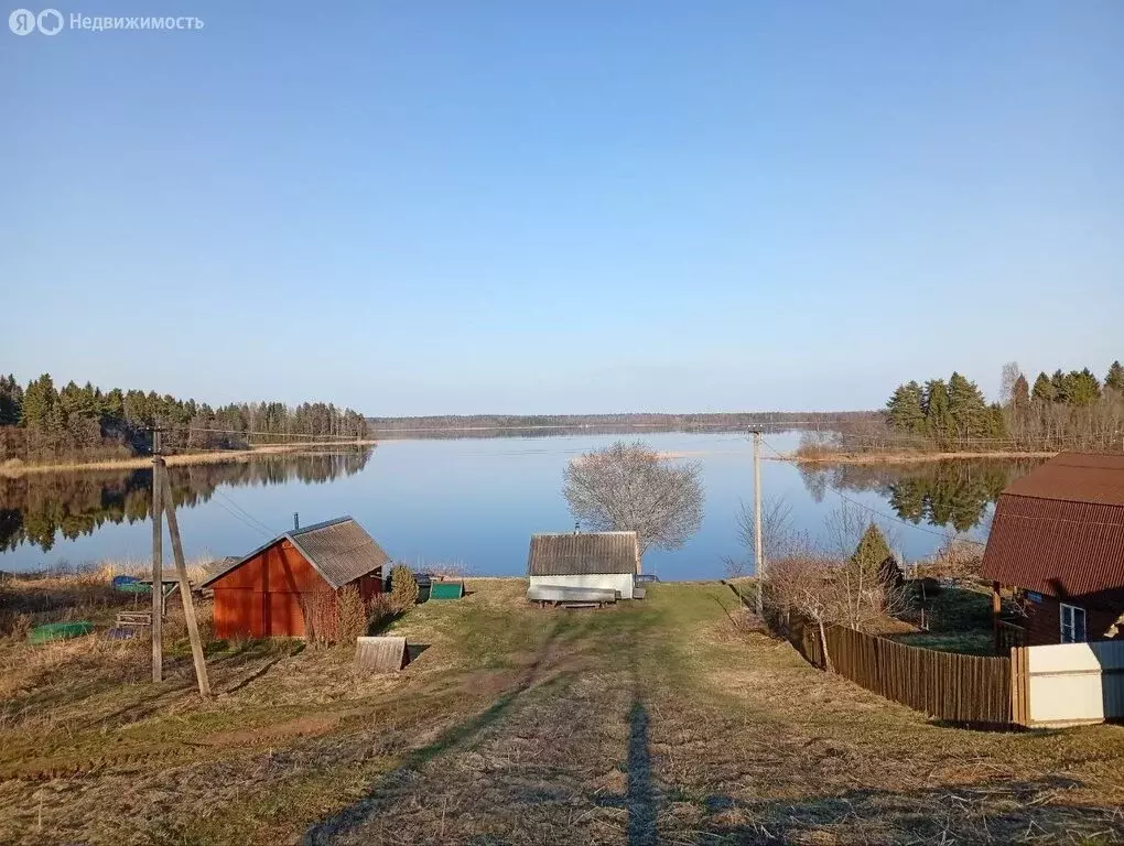 Участок в Новгородская область, Демянский муниципальный округ, деревня ... - Фото 0