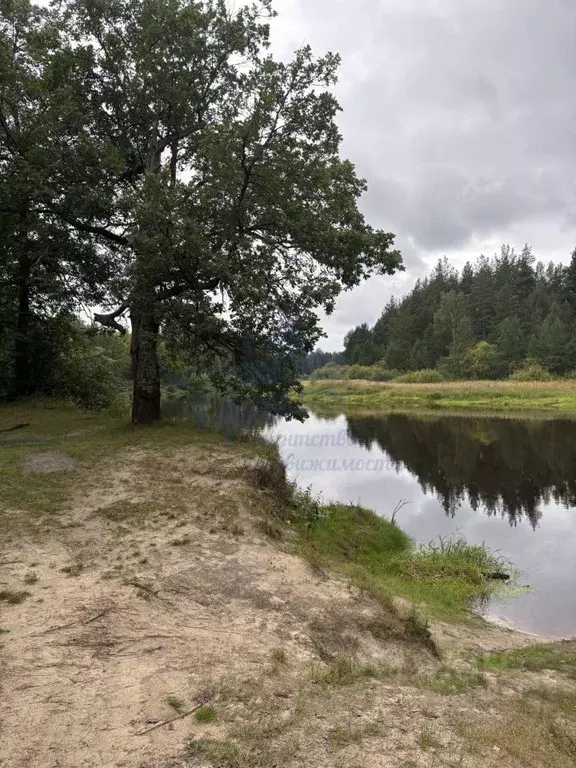 Коттедж в Нижегородская область, Володарский муниципальный округ, ... - Фото 0