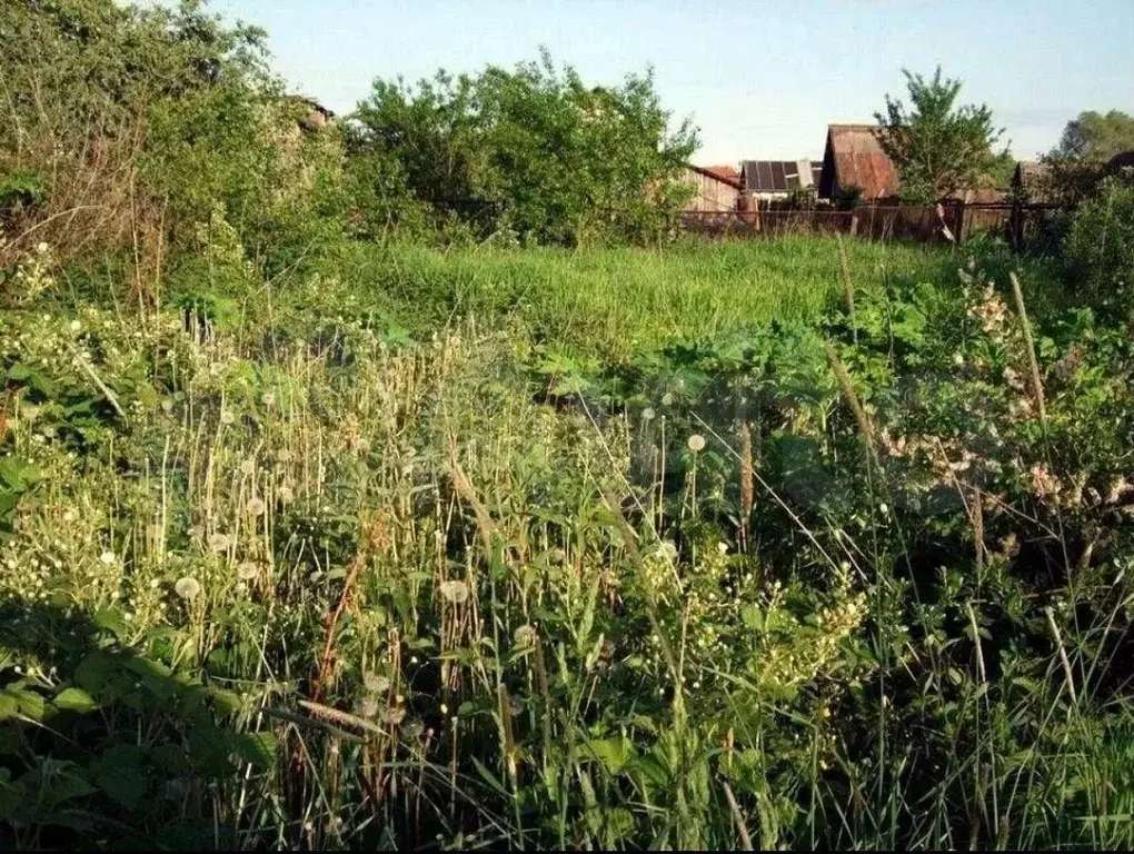 Участок 10 сот. (СНТ, ДНП) - Фото 0