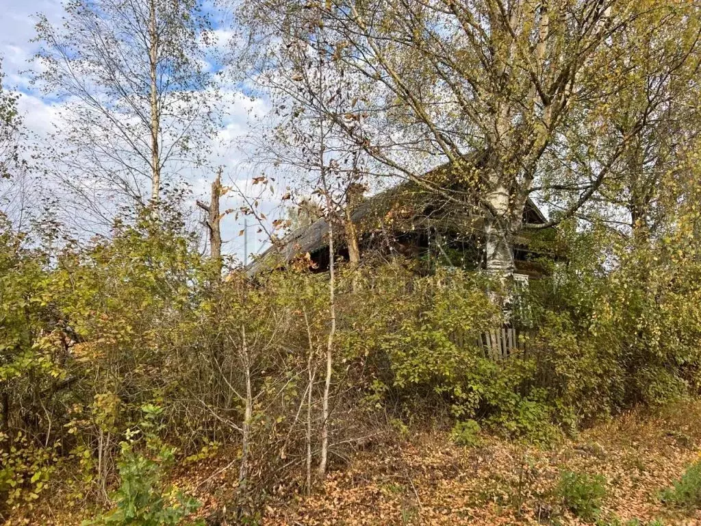 Дом в Новгородская область, Боровичский район, Сушанское с/пос, д. ... - Фото 1