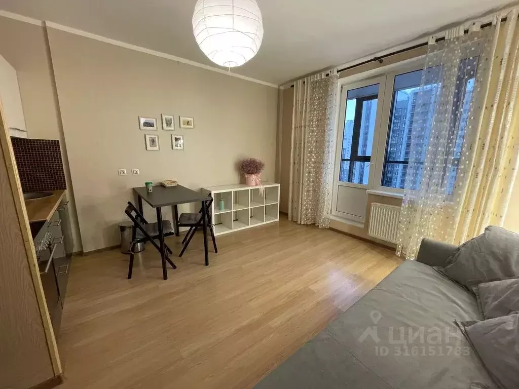 1-к кв. Санкт-Петербург ул. Русановская, 17к1 (28.0 м) - Фото 1