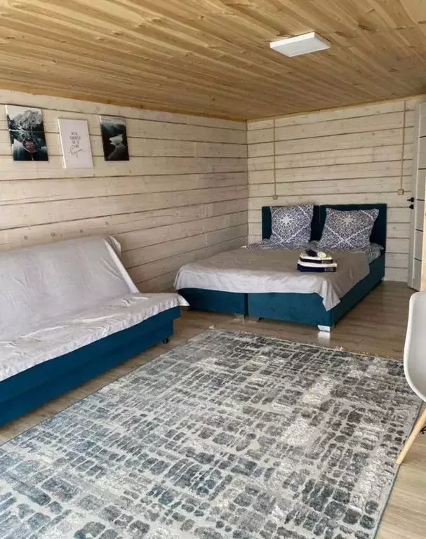 Дом в Алтай, Чемальский район, с. Чемал ул. Уютная, 16 (24 м) - Фото 2