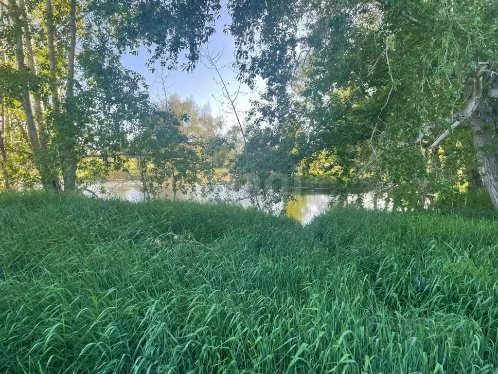 Участок в Челябинская область, Еманжелинский муниципальный округ, пос. ... - Фото 1