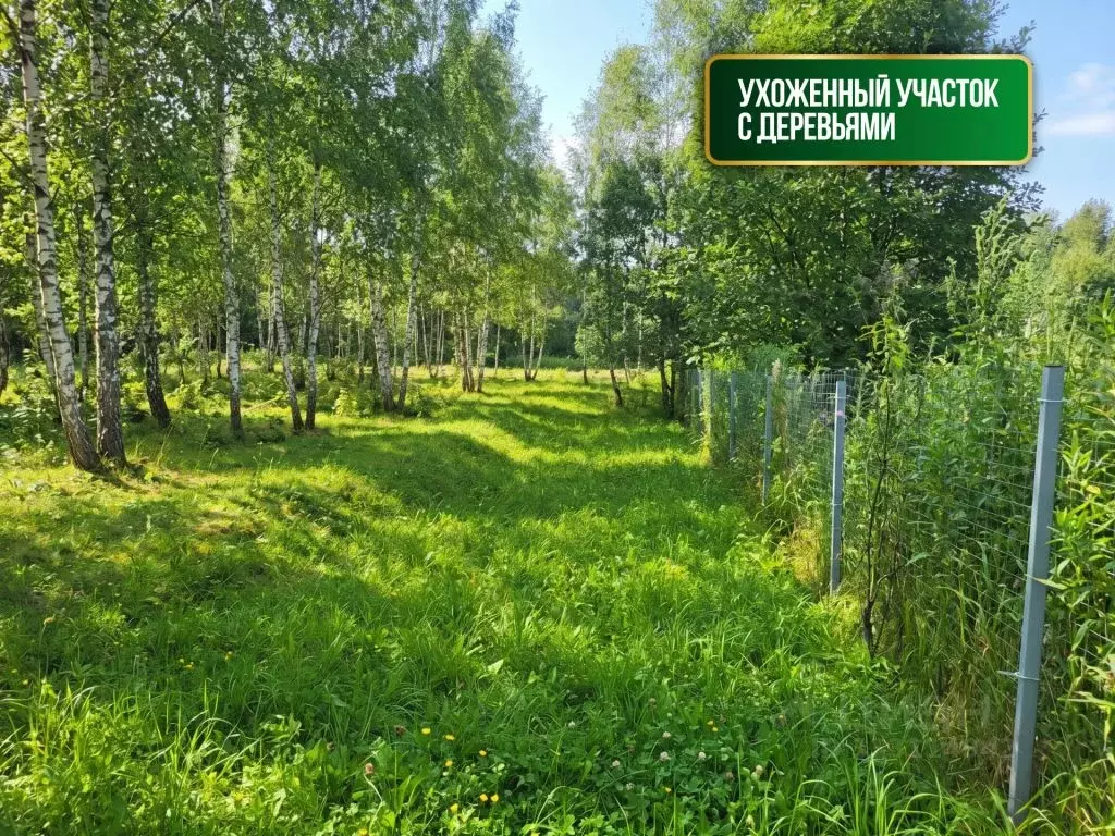 Участок в Московская область, Руза  (12.0 сот.) - Фото 1