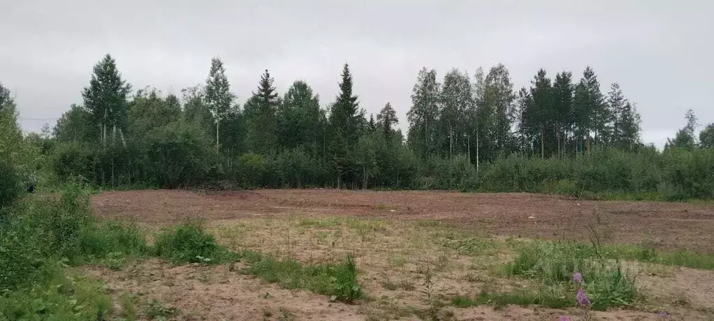 Участок в Архангельская область, Приморский муниципальный округ, д. ... - Фото 0