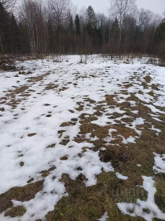 Участок в Калужская область, Ферзиковский район, Ястребовка с/пос, ... - Фото 1