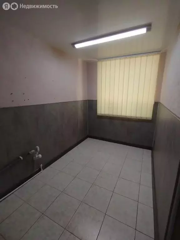 Помещение свободного назначения (55 м) - Фото 1