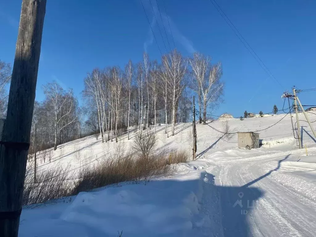Участок в Новосибирская область, Новосибирский район, Барышевский ... - Фото 1