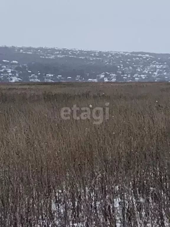 Участок в Белгородская область, Белгородский район, Головинское с/пос, ... - Фото 2