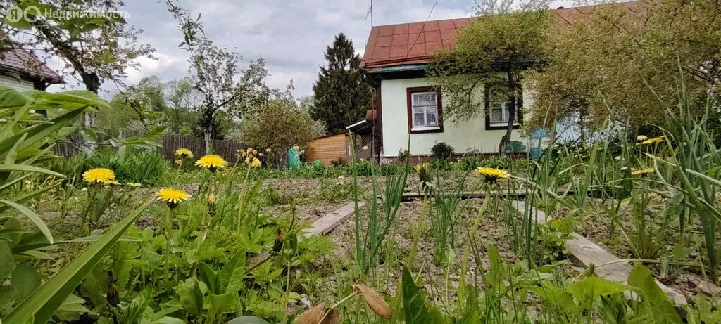 Дом в деревня Большое Толбино, 21 (44.5 м) - Фото 1