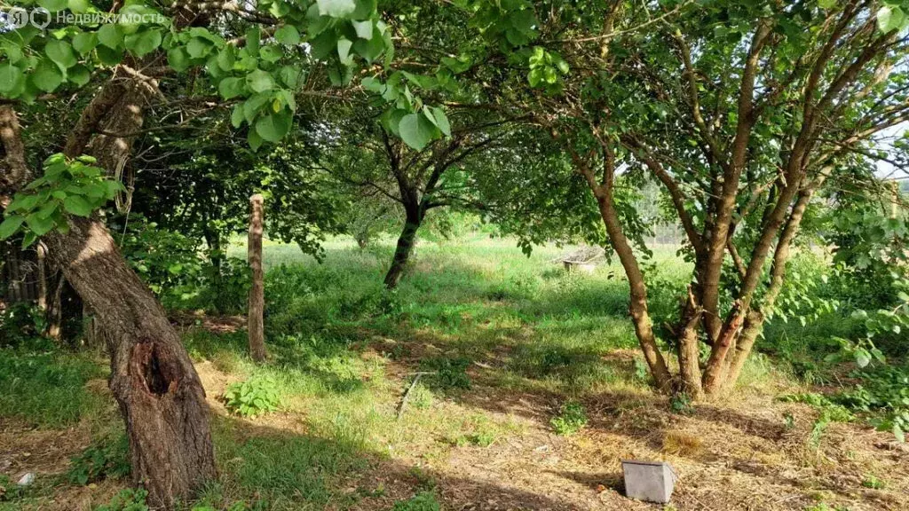 Дом в хутор Армянский, улица Миронова (15 м) - Фото 1