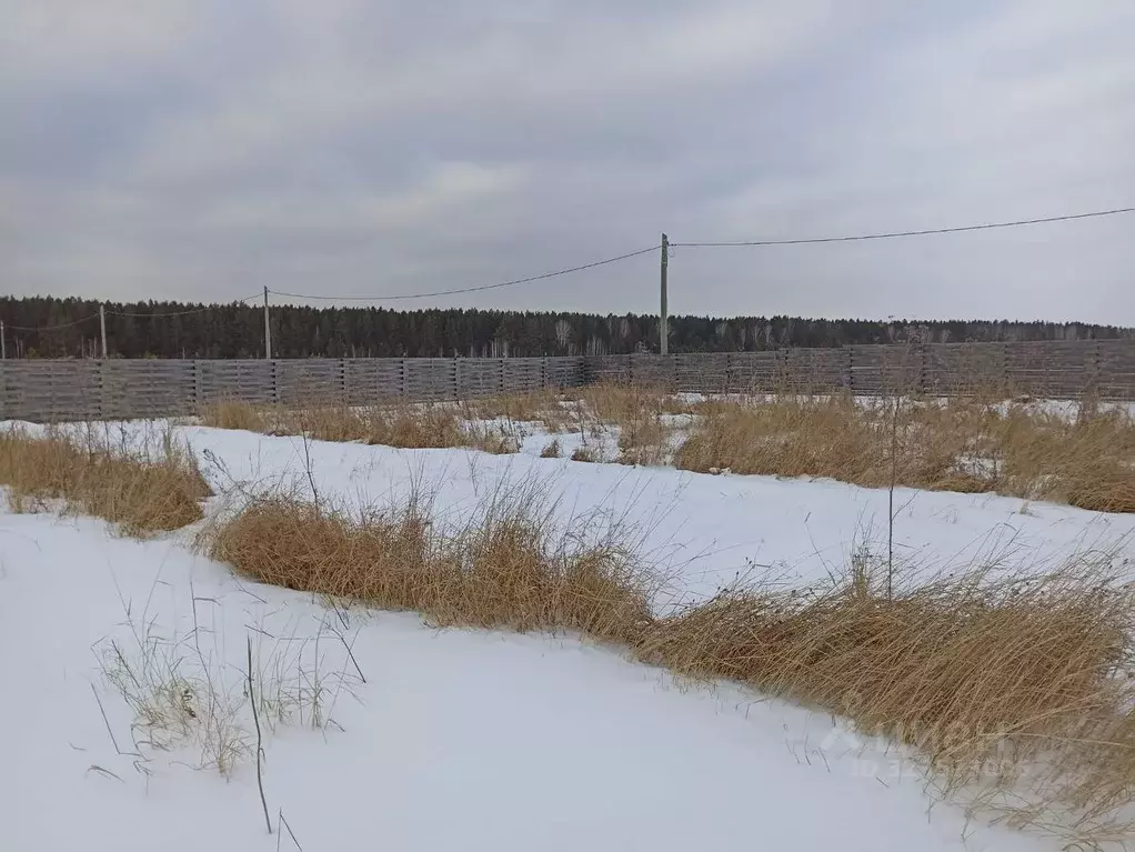 Участок в Свердловская область, Екатеринбург Удачный кп, 278 (10.0 ... - Фото 2