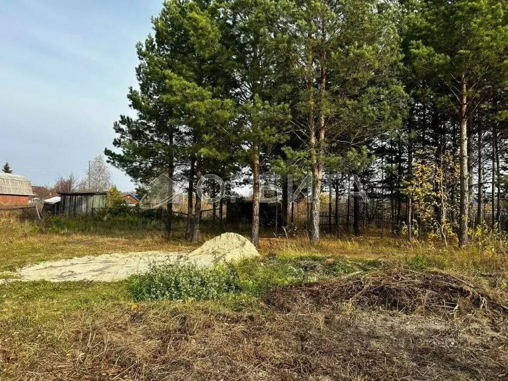 Участок в Тюменская область, Тюменский район, Нива СНТ ул. Светлая ... - Фото 0