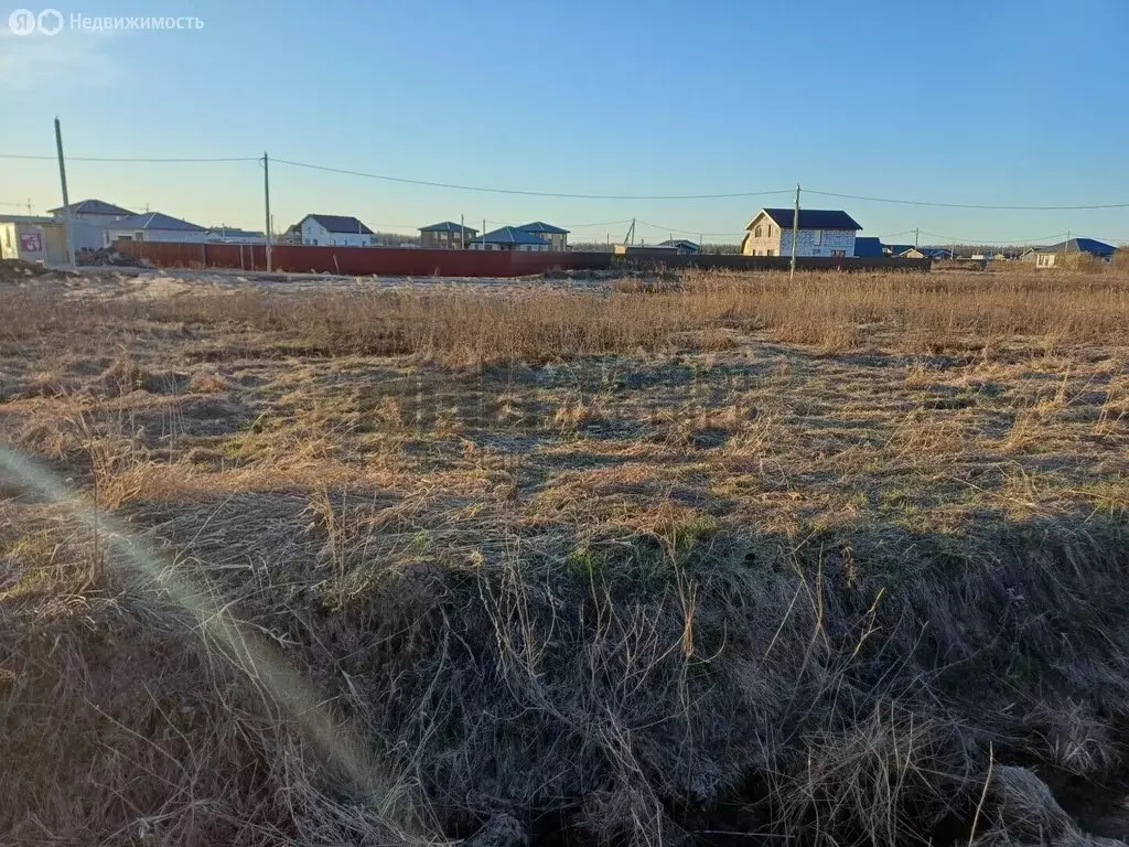 Участок в Новгородский муниципальный район, Савинское сельское ... - Фото 1