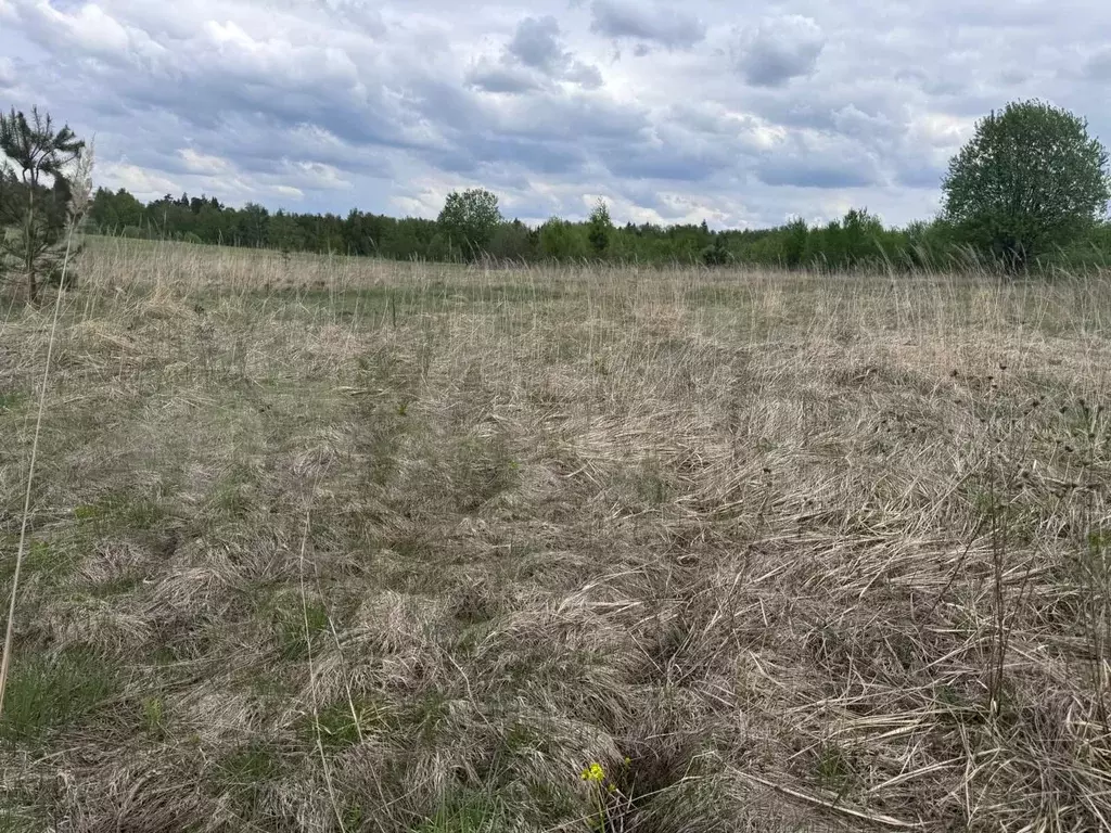 Участок 6 сот. (СНТ, ДНП) - Фото 1