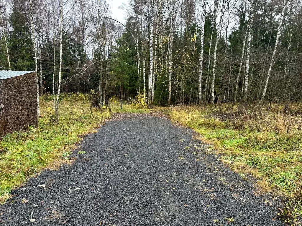 Участок в Московская область, Солнечногорск городской округ, Дачной ... - Фото 2