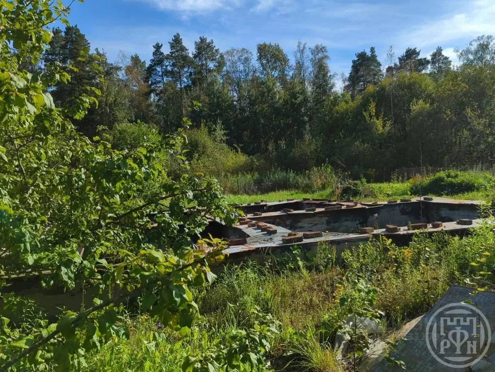 Участок в Санкт-Петербург, Санкт-Петербург, Петергоф Красные Зори СНТ, ... - Фото 2