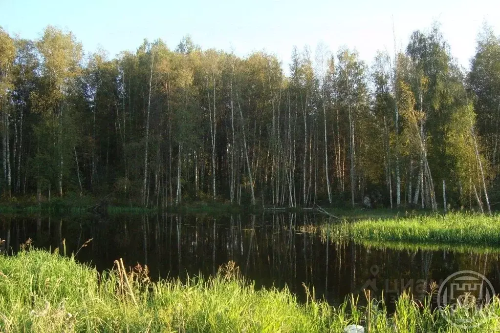 Участок в Ленинградская область, Выборгский район, Красносельское ... - Фото 2