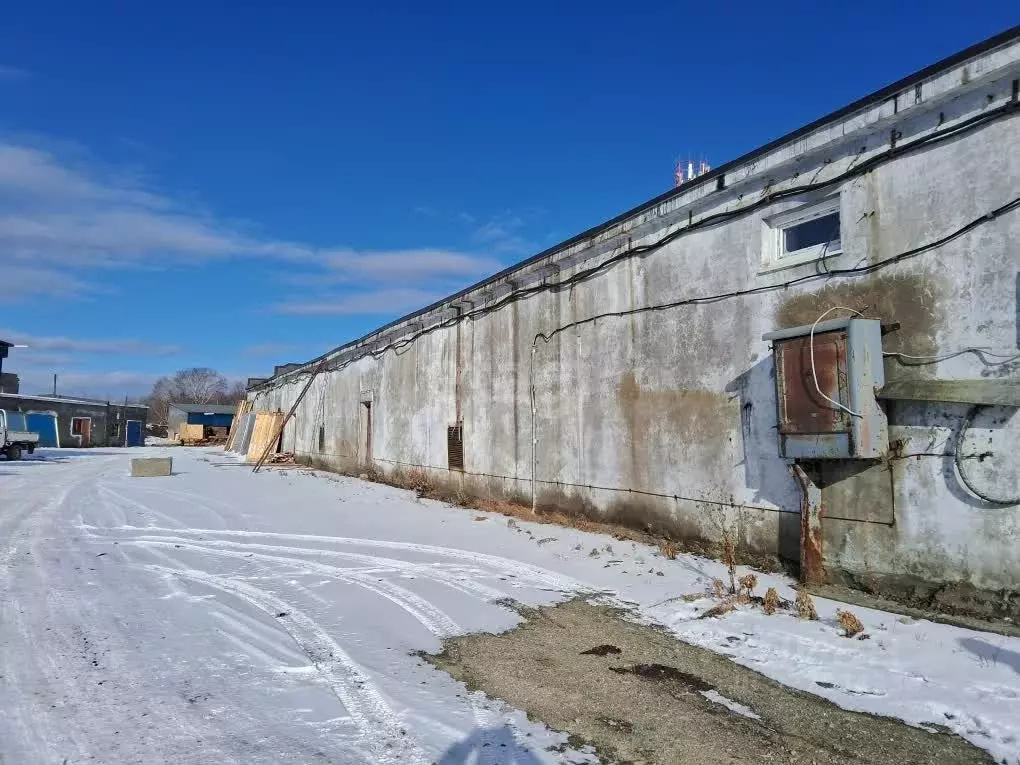 Офис в Камчатский край, Петропавловск-Камчатский ул. Попова, 10 (204 ... - Фото 2