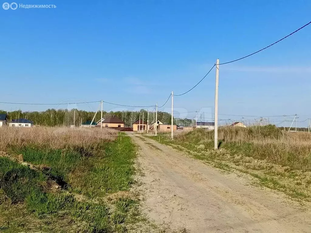 Участок в Тюменский район, село Каменка (12.3 м) - Фото 1