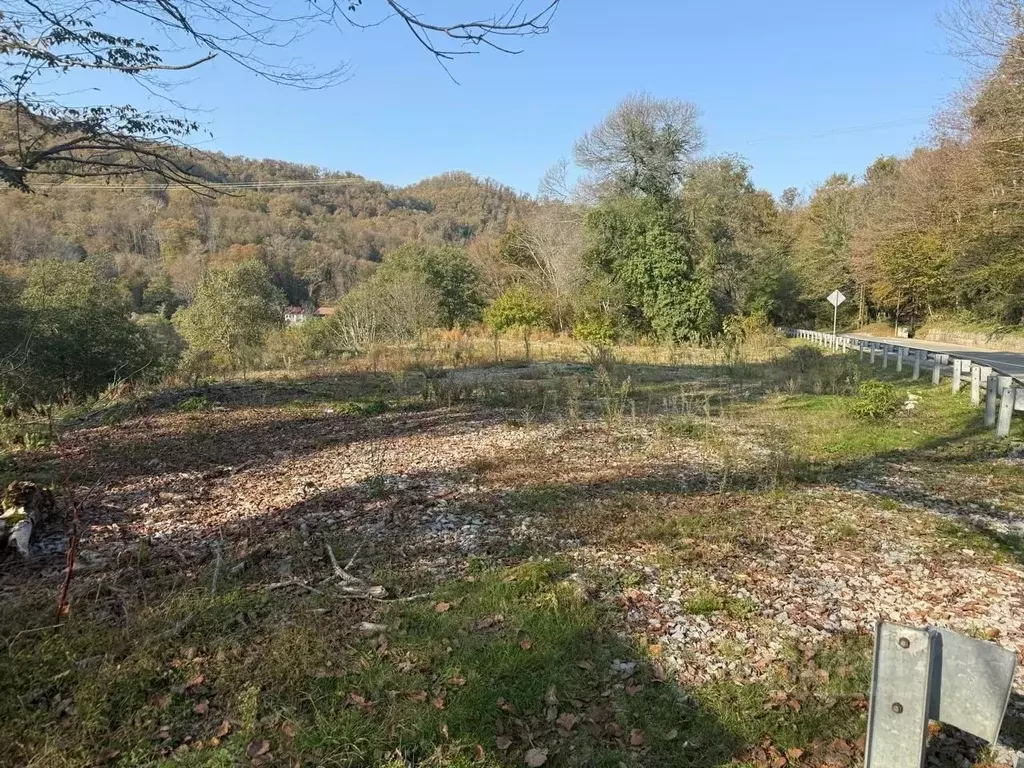 Участок в Краснодарский край, Сочи городской округ, Дагомыс пгт ш. ... - Фото 1