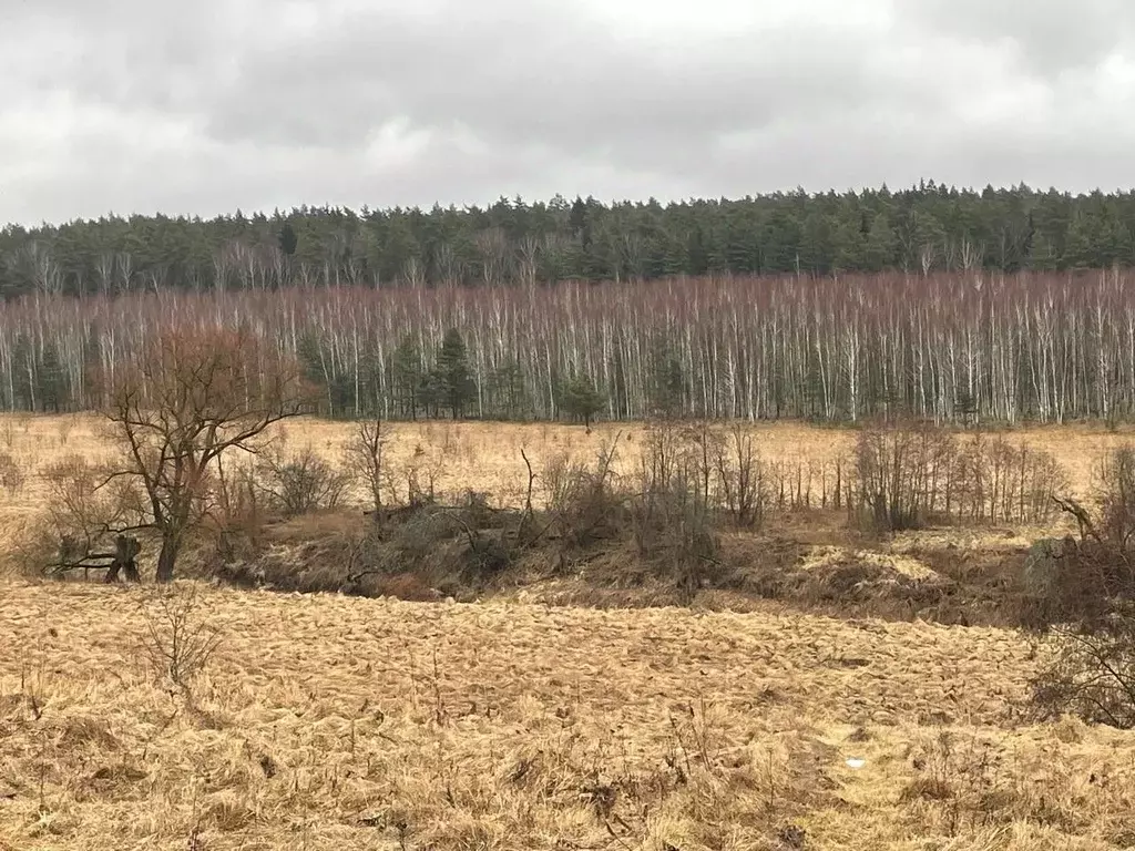Участок в Московская область, Серпухов городской округ, д. Барыбино  ... - Фото 0