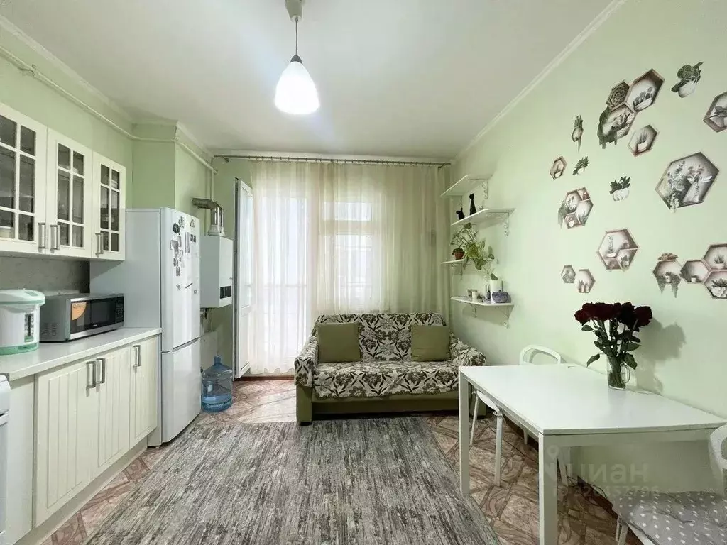 1-к кв. Московская область, Истра муниципальный округ, д. Черная ул. ... - Фото 2