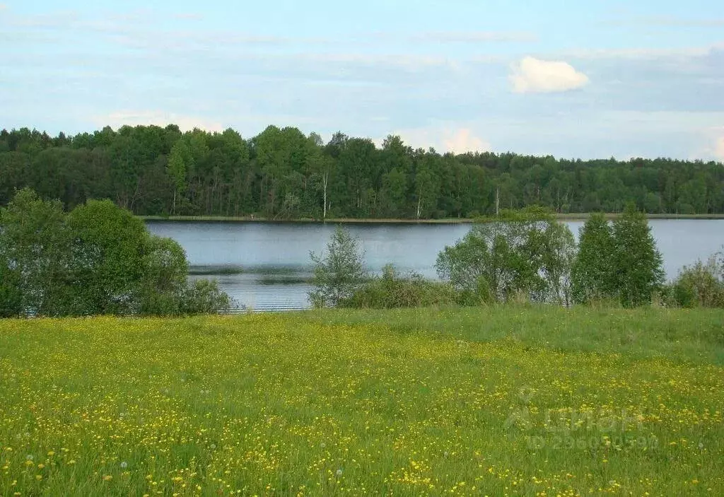 Участок, 6 сот., сельхоз (снт или днп) - Фото 1