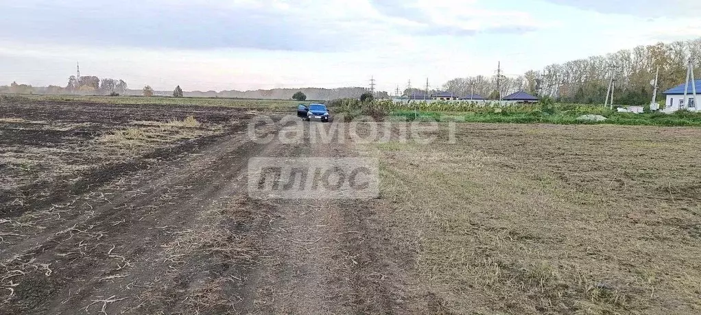 Участок в Омская область, Омский район муниципальный округ, с. Пушкино ... - Фото 2