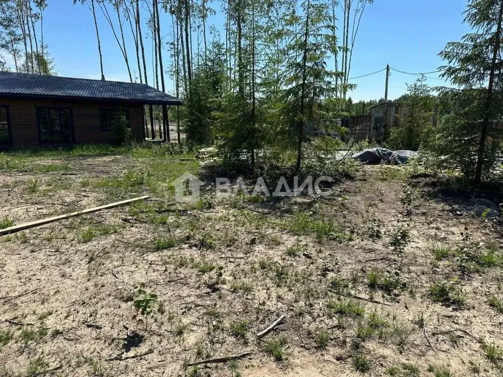 Участок в Ленинградская область, Всеволожский район, Бугровское ... - Фото 0