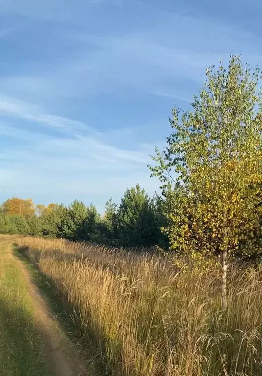 Купить Участок В Куровское Орехово Зуевский Район